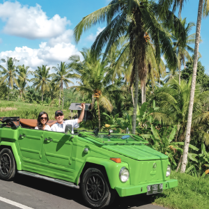 Karangasem Vintage Volkswagen Tour & Lunch