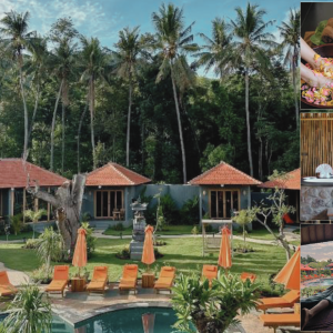 Amed Centre Wellness Spa Half Day