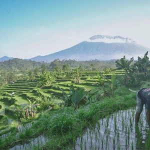 Sidemen Cultural & Nature Tour
