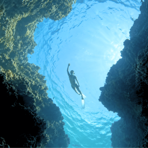 Menjangan Island – Two-Site Guided Snorkelling